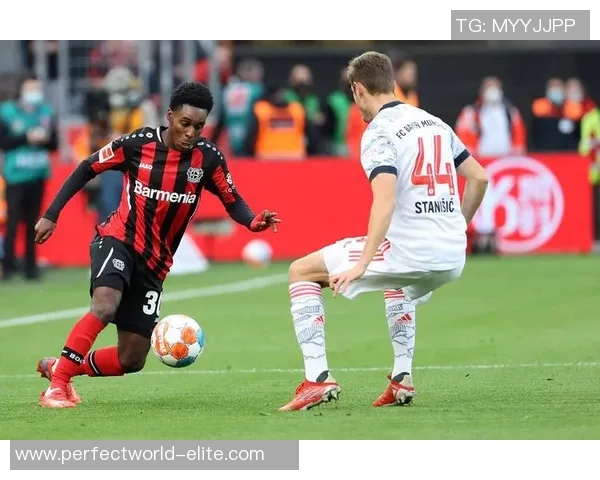 德甲精彩对决多特蒙德绝杀热刺全场沸腾回顾集锦