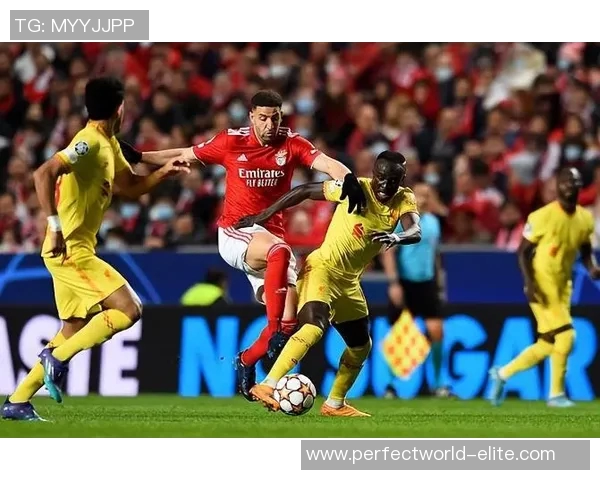 欧冠激战本菲卡与曼联战成平局乌龙球引发全场热议与转会传闻